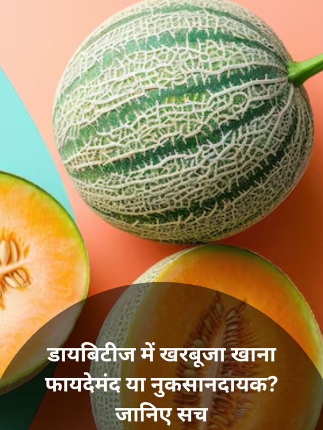 cropped-melon Web Stories